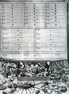 Table II tirée de 